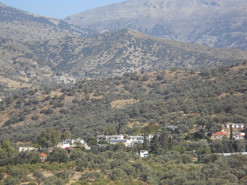 picture villa petra village